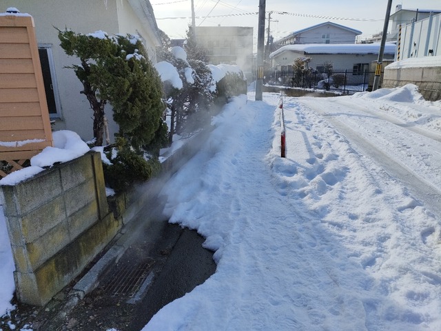 IMG20230206093647