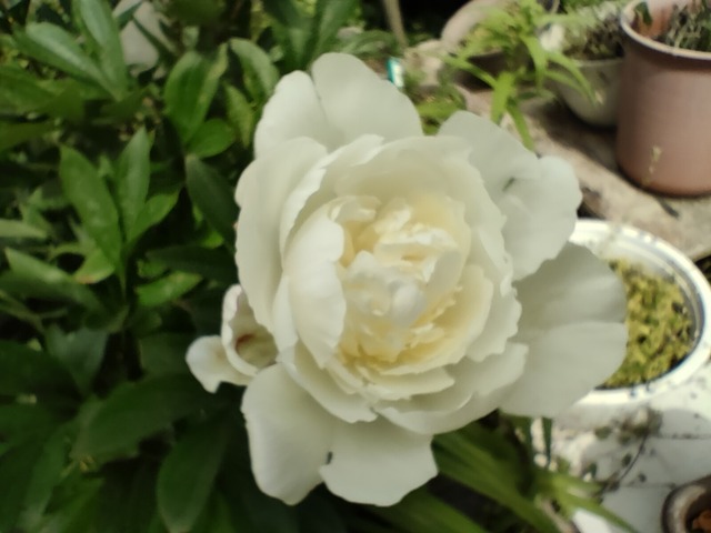 IMG20230621085404