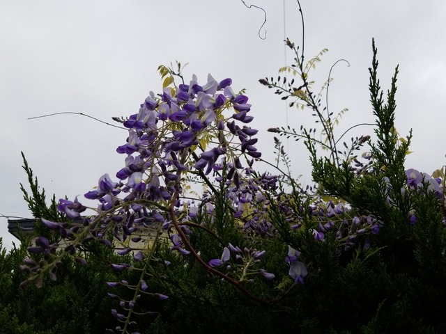 IMG_20210516_091525