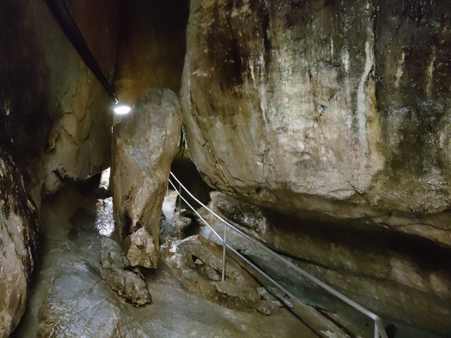 IMG20230419092924