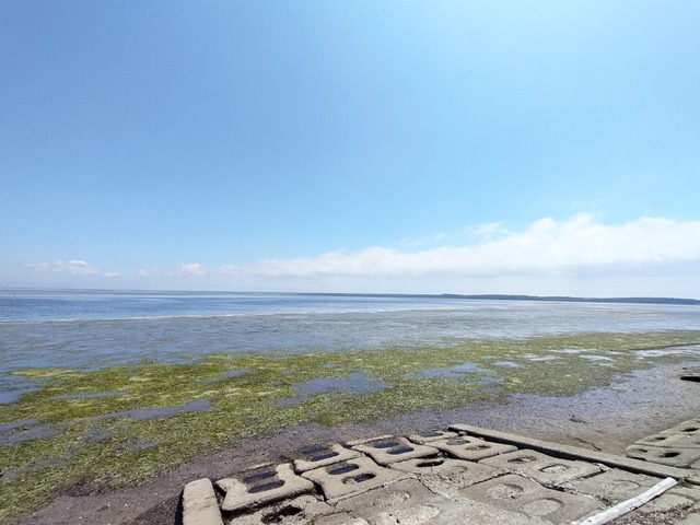 IMG20250711115436