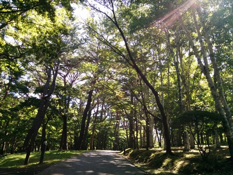 [画像:e05ad678-s.jpg]