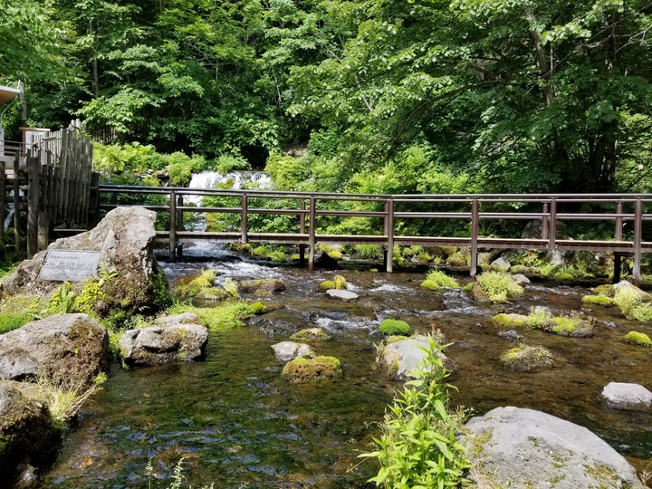 20190627_090941