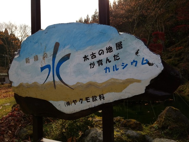 IMG_20201116_114822