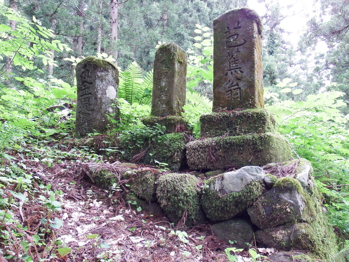 DSCF8767