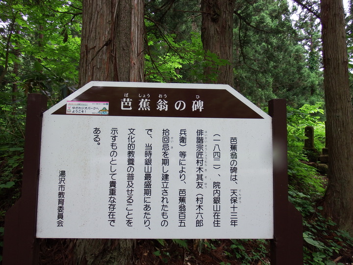 DSCF8766