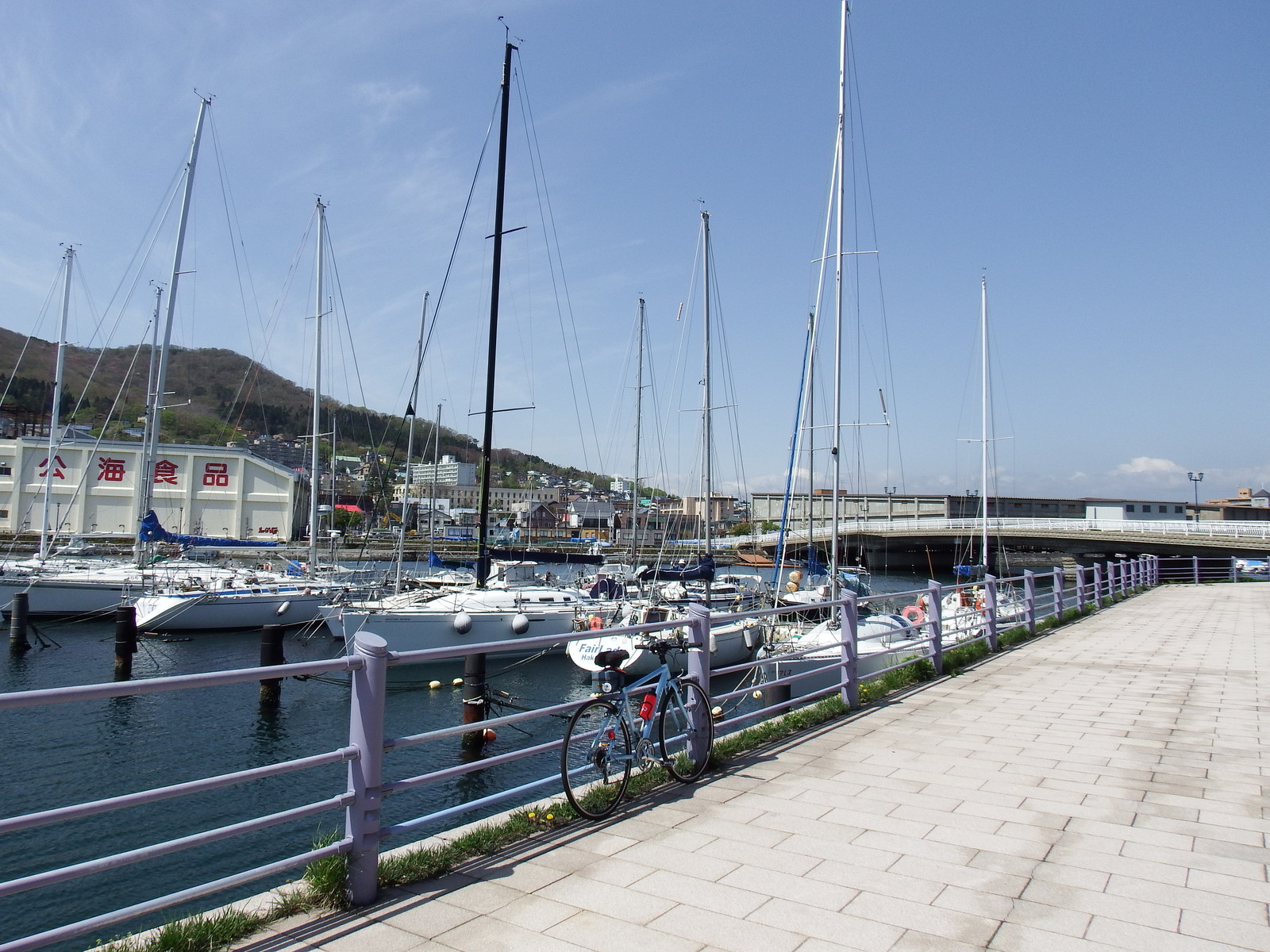 連休明けの晴天の日 サイクリングして西埠頭で豪貨客船 スターレジェンド号 を見る 函館発 ぼうけんの旅