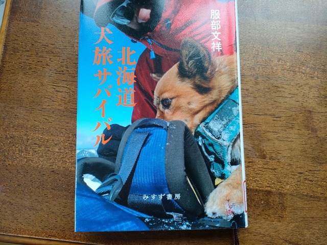 IMG20240112103829