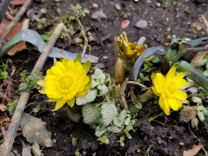 20190314_123033