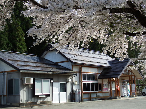 DSCF4989