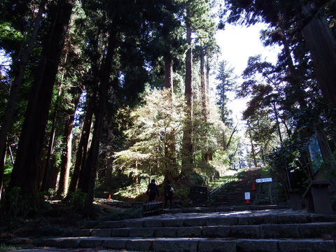 DSCF4835