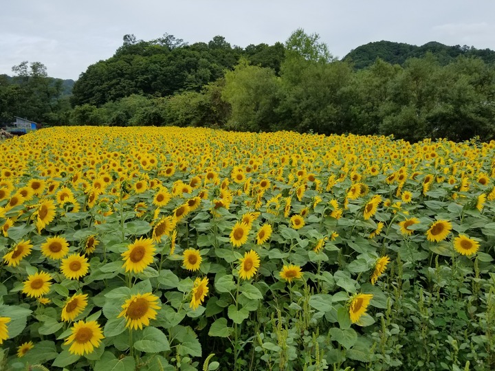 20190915_090418