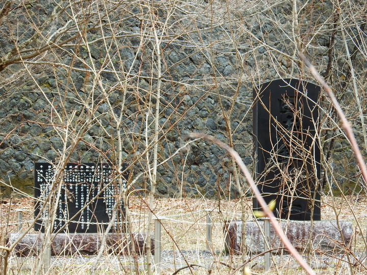 DSCF7824