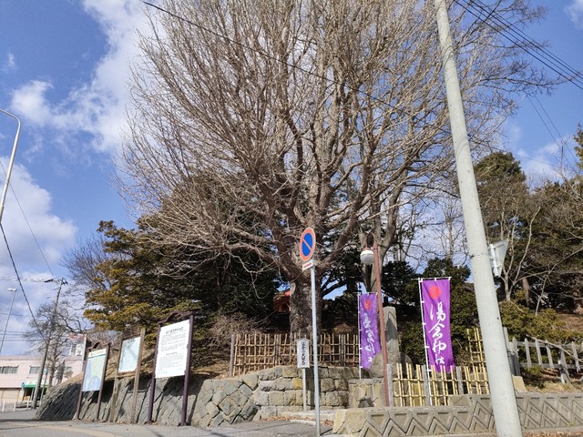 IMG20240316102630