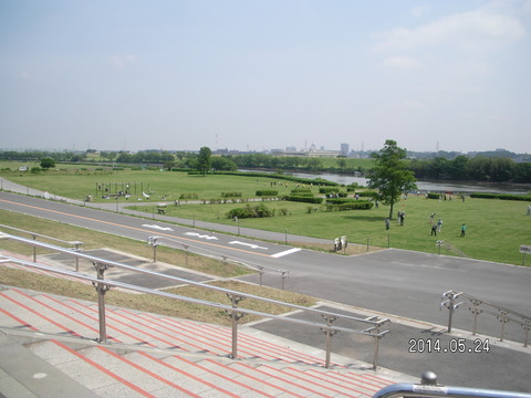 RIMG3809