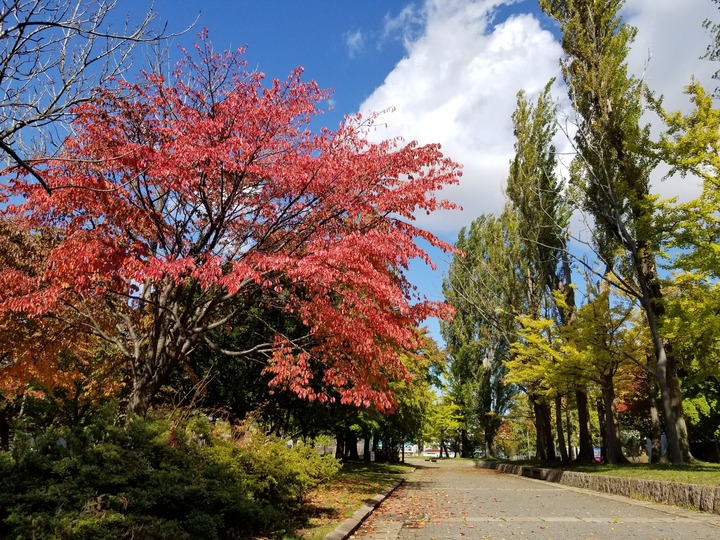 20191020_105117