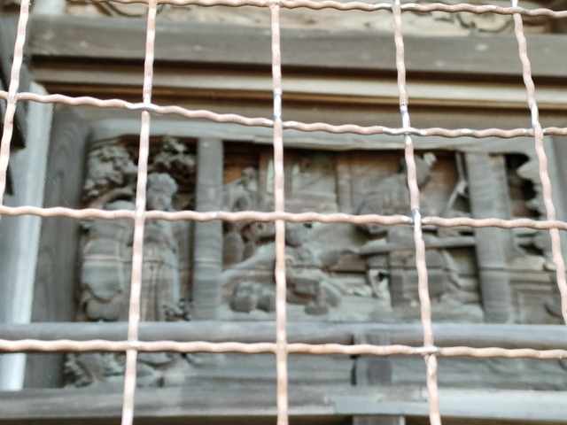 IMG20240518082951