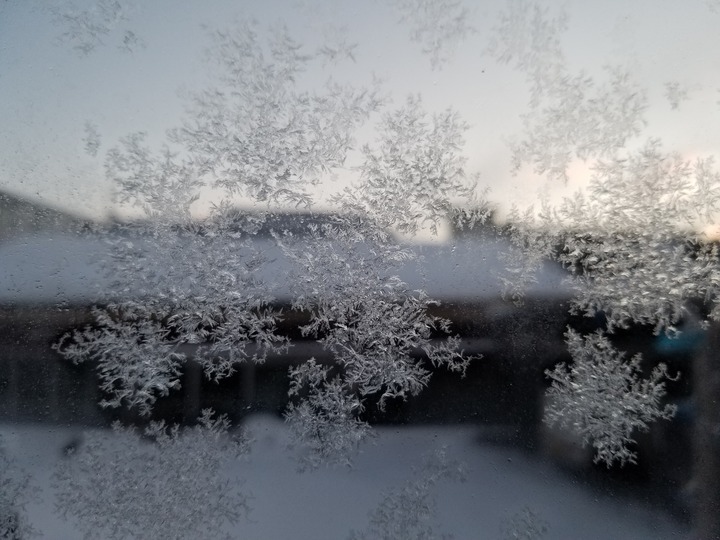 20190108_070541