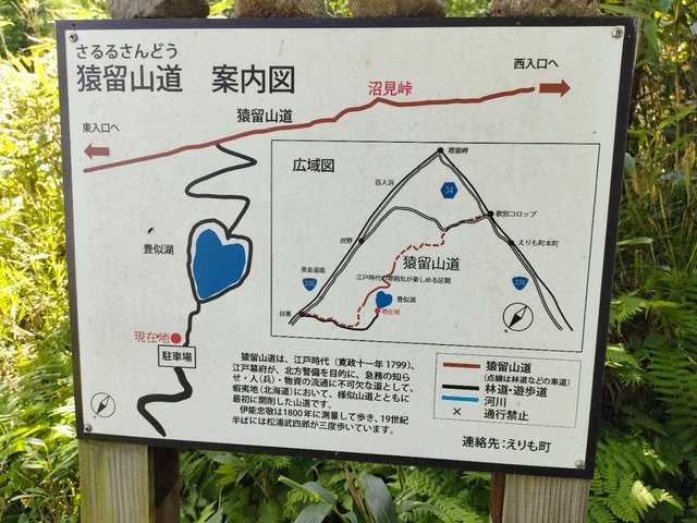 IMG20250708094521