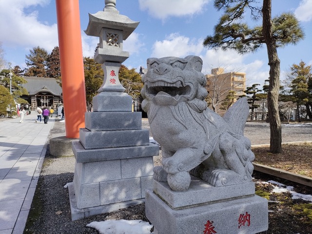 IMG20240316100727
