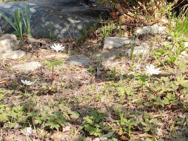 IMG20240415140749