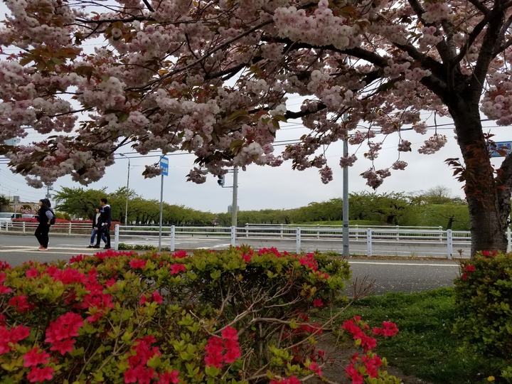 20190517_110909