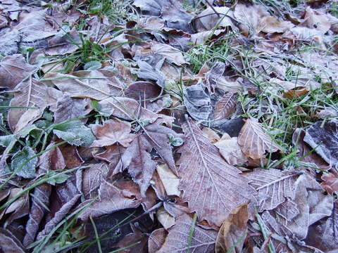 DSCF3472