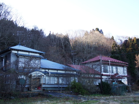 DSCF3505
