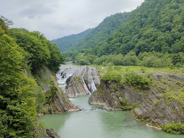 IMG20230617142749