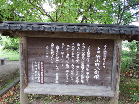 DSCF6618