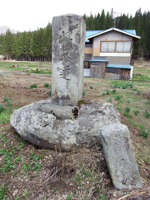DSCF5036