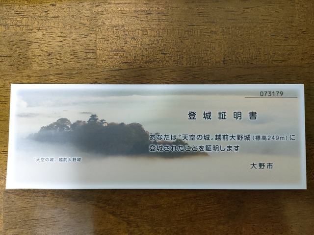 IMG20241115200544