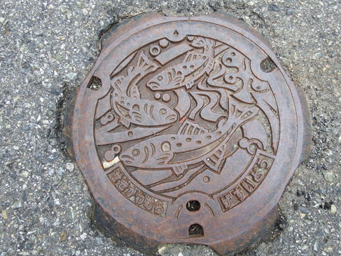 DSCF5238