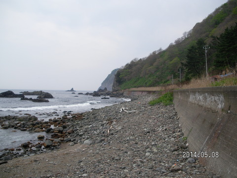 RIMG3628