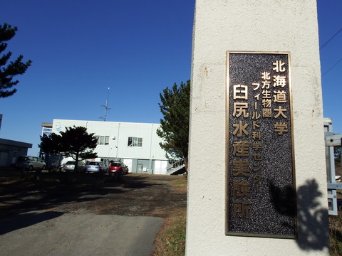 DSCF3529