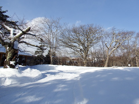 DSCF7696