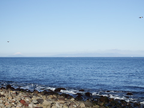 DSCF3497
