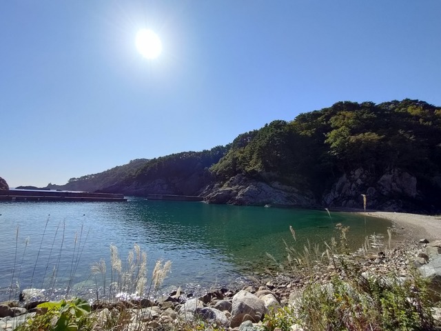 IMG20231018094408