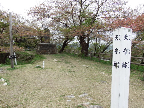 DSCF5270