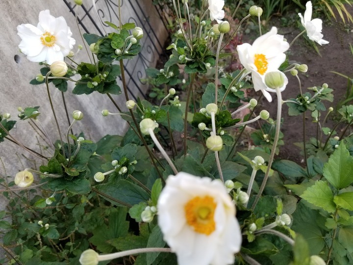 20190918_162234
