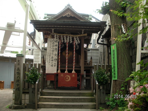 RIMG3866