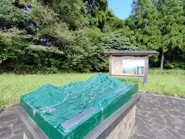 IMG20241009133304