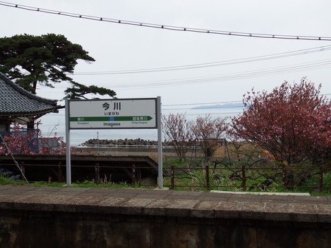 DSCF5291