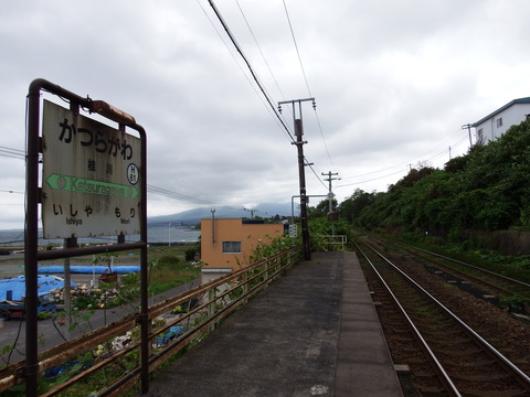 DSCF5711