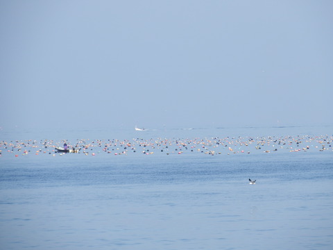 DSCF3583