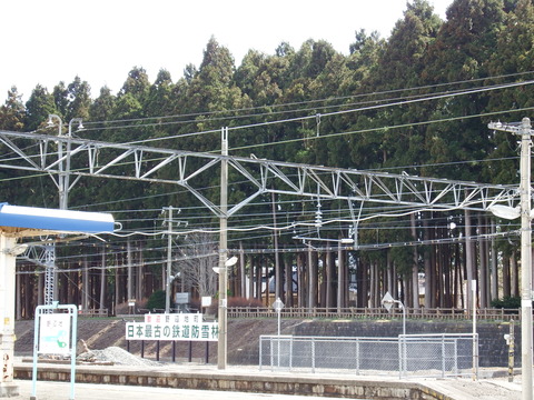 DSCF7743