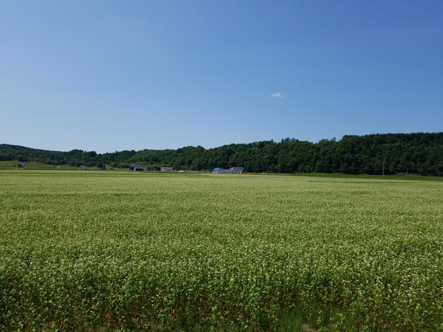 IMG_20210719_100009