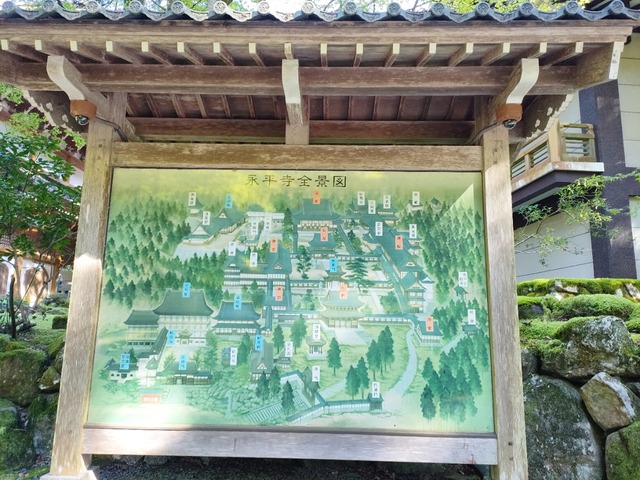 IMG20241010092016