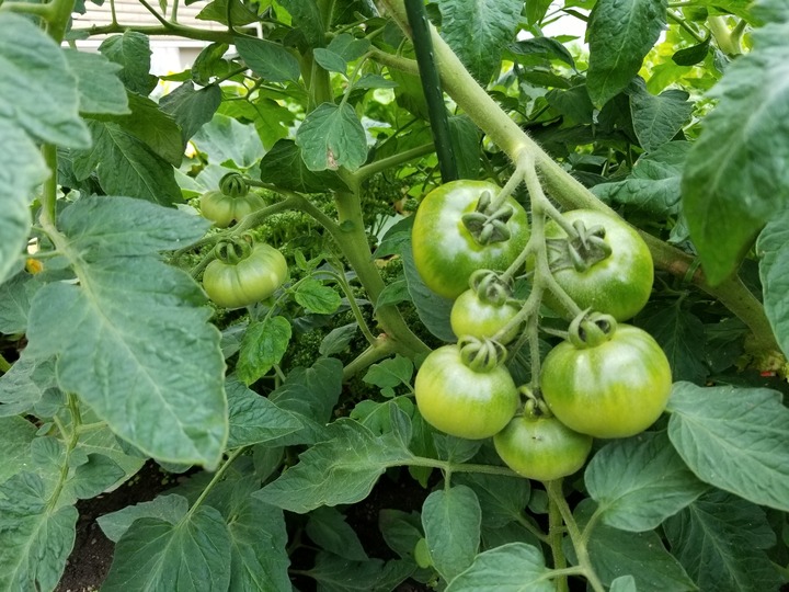20190728_164824