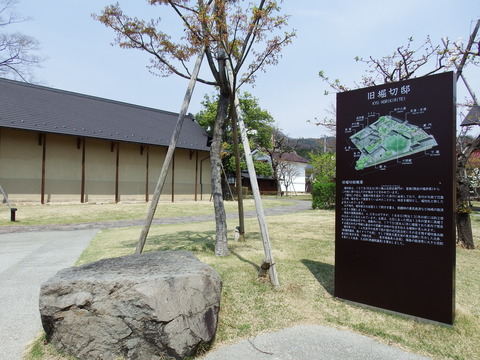 DSCF4881